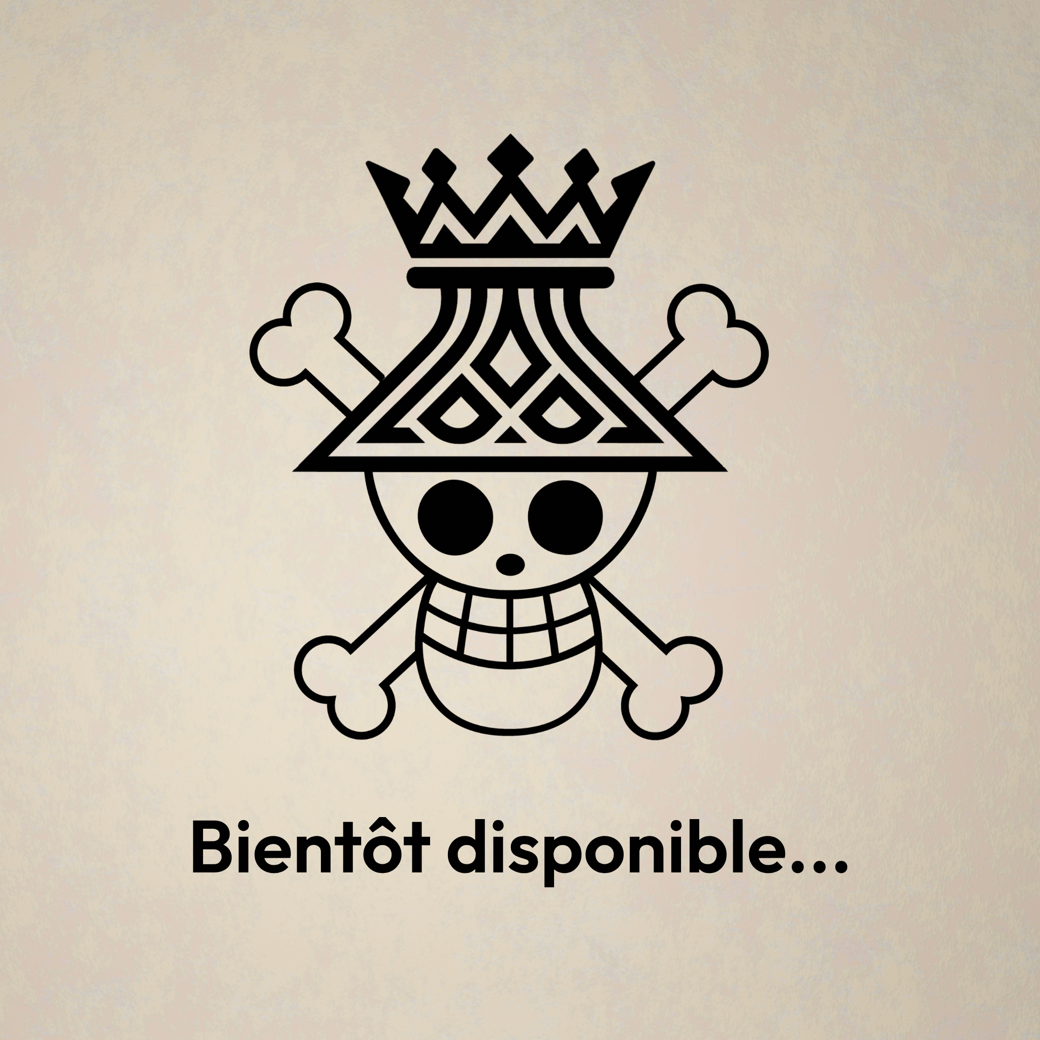 Spéciale One Piece
